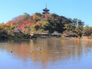 三溪園の紅葉写真１