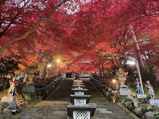 大山寺の紅葉の写真3