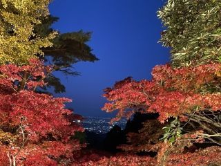 大山寺の紅葉の写真4