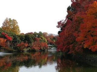 高岡古城公園の紅葉写真２