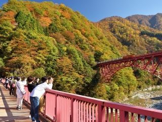 黒部峡谷の紅葉写真２