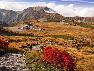 立山室堂平の紅葉の写真３