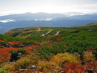 乗鞍高原の紅葉写真２