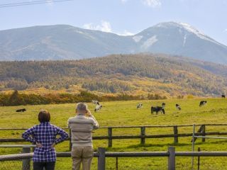 白樺高原・女神湖の紅葉写真2