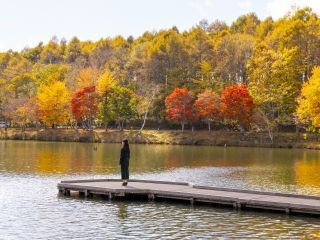 白樺高原・女神湖の紅葉の写真3