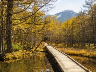 白樺高原・女神湖の紅葉の写真4