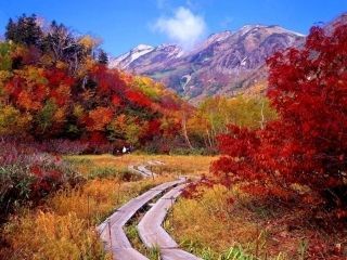 栂池自然園の紅葉写真1