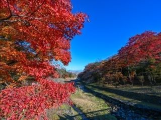 養老公園の紅葉写真2