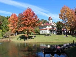 修善寺虹の郷の紅葉写真２