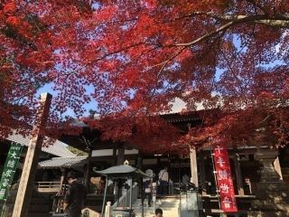 寂光院の紅葉写真1