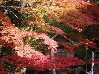 寂光院の紅葉の写真3