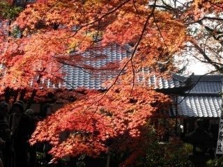 寂光院の紅葉の写真4