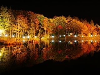 茶臼山高原の紅葉の写真4