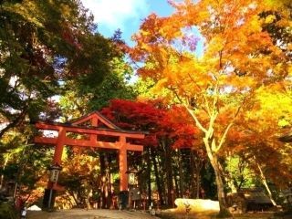 日吉大社の紅葉写真１