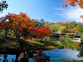 名勝 玄宮園の紅葉の写真３