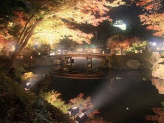 名勝 玄宮園の紅葉の写真４