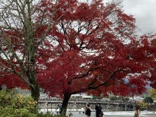 嵐山の紅葉写真2