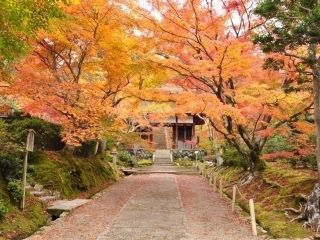 常寂光寺の紅葉写真２