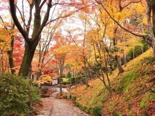 常寂光寺の紅葉の写真３