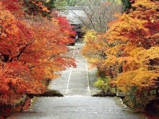 二尊院の紅葉写真２