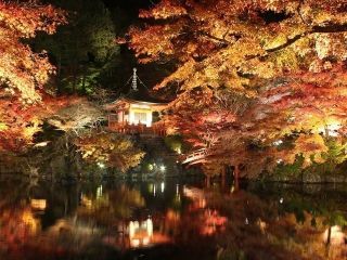 醍醐寺の紅葉写真２
