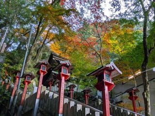 犬鳴山の紅葉写真２