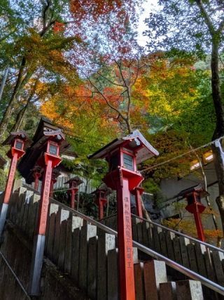 犬鳴山の紅葉の写真３