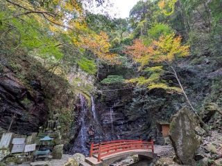 犬鳴山の紅葉の写真４