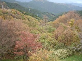 金剛山の紅葉写真2