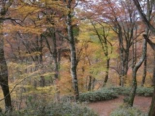 金剛山の紅葉の写真3