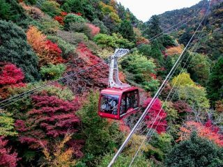 六甲山の紅葉の写真４