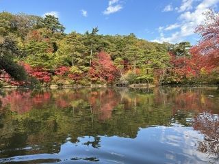 神戸市立森林植物園の紅葉写真２