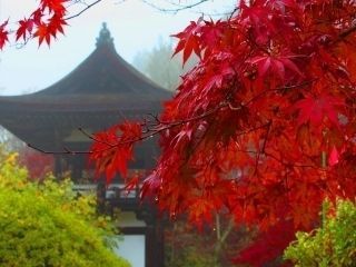 長岳寺の紅葉写真1
