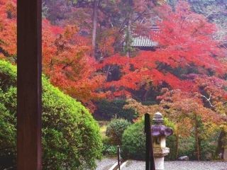 長岳寺の紅葉写真2