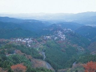 吉野山の紅葉写真1
