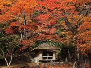 吉野山の紅葉写真2