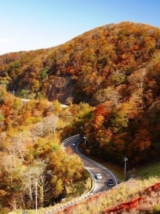 高野龍神スカイラインの紅葉写真１