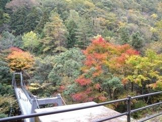 匹見峡の紅葉の写真3