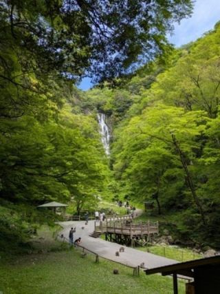 名勝神庭の滝の紅葉写真１