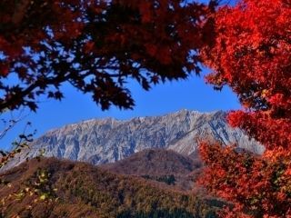蒜山大山スカイラインの紅葉写真1