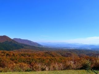蒜山大山スカイラインの紅葉の写真4