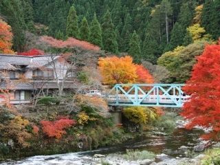 名勝 奥津渓の紅葉写真２
