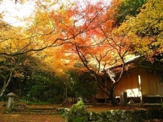 華山神上寺の紅葉写真1
