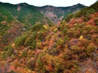 寂地峡の紅葉写真2