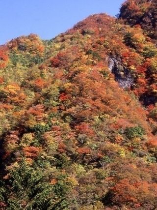 高の瀬峡の紅葉写真1