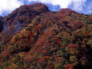 高の瀬峡の紅葉写真2
