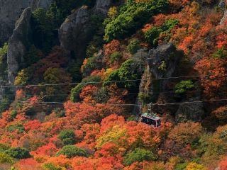 寒霞渓の紅葉写真２