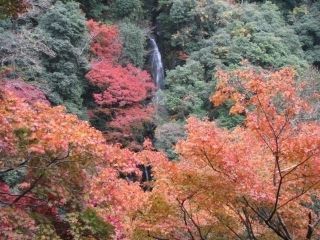 白滝公園の紅葉写真1