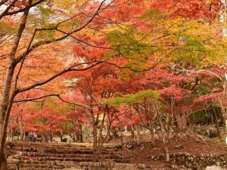 滑床渓谷の紅葉写真２
