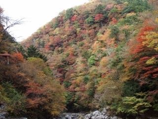 べふ峡の紅葉写真2